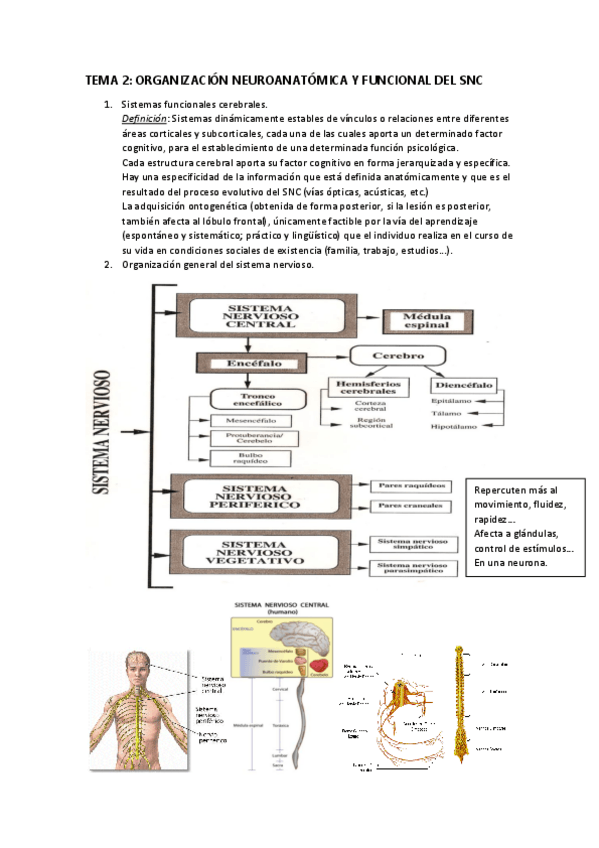 Miniatura del documento TEMA-2-bases-psicobiologicas-de-la-conducta.pdf