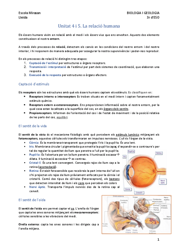 Miniatura del documento La-relacio-humana-resum.pdf
