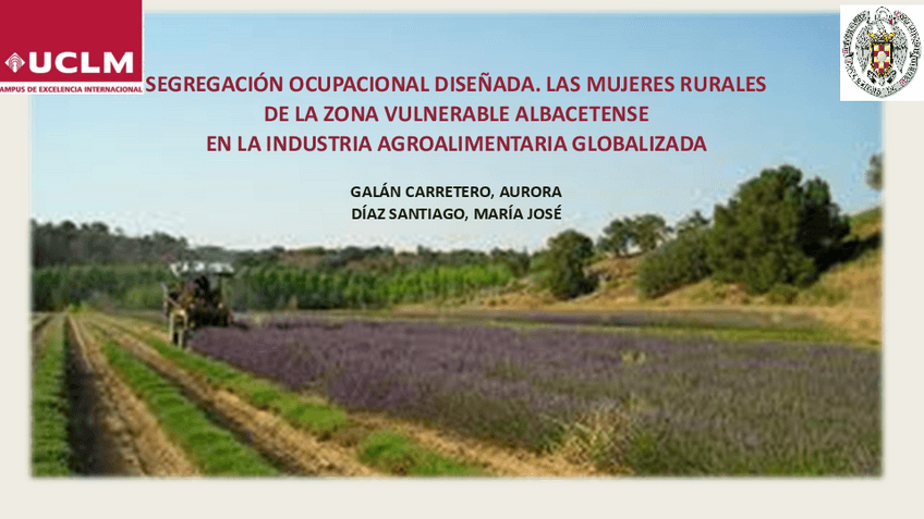 Miniatura del documento SEGREGACION-OCUPACIONAL-DISENADA.pdf