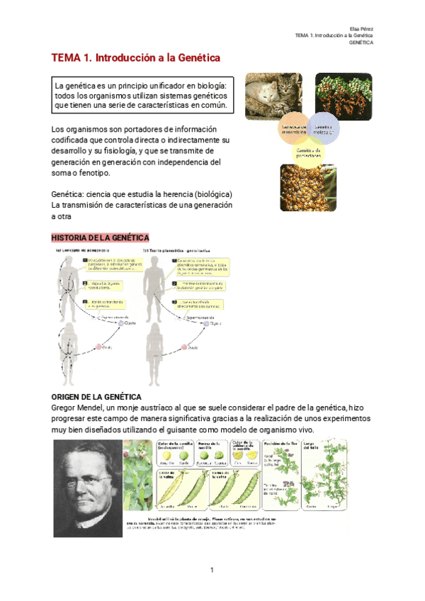 Miniatura del documento TEMA-1.-Introduccion-a-la-Genetica.pdf
