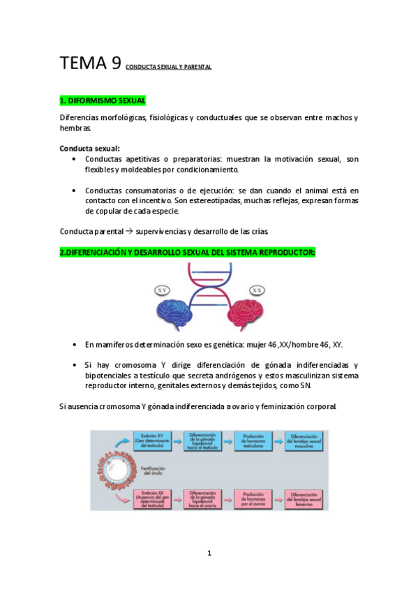 Miniatura del documento TEMA-9-PSICO-FISOLOGICA.pdf