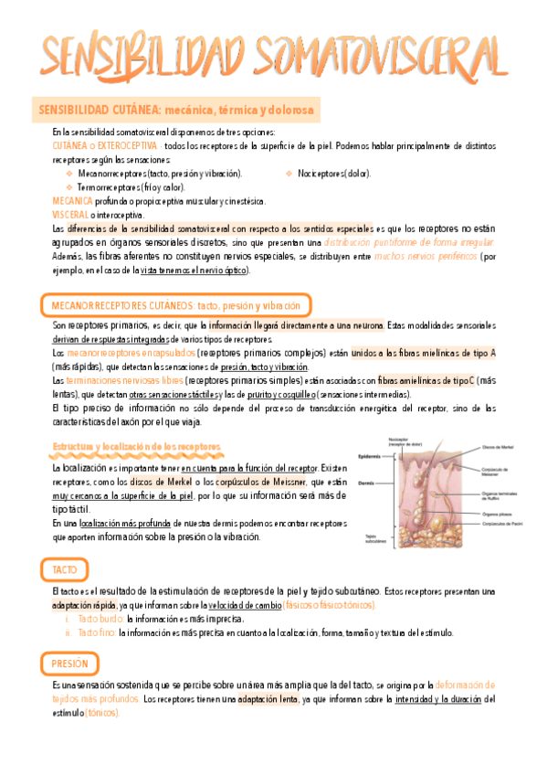 Miniatura del documento 7.-Sensibilidad-somatica.pdf
