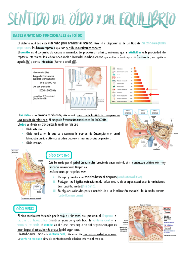 Miniatura del documento 8.-Sentido-del-oido-y-del-equilibrio.pdf