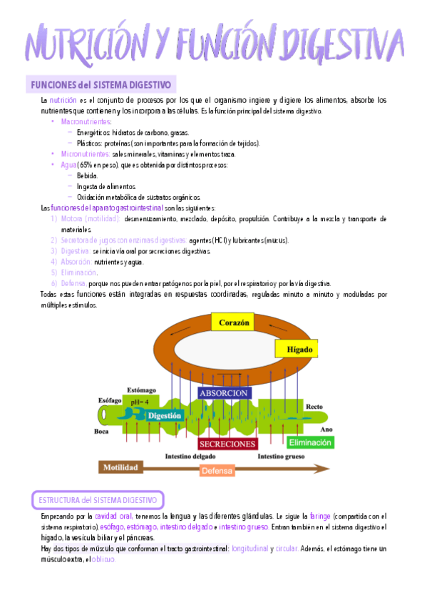 Miniatura del documento 29.-Nutricion-y-funcion-digestiva.pdf