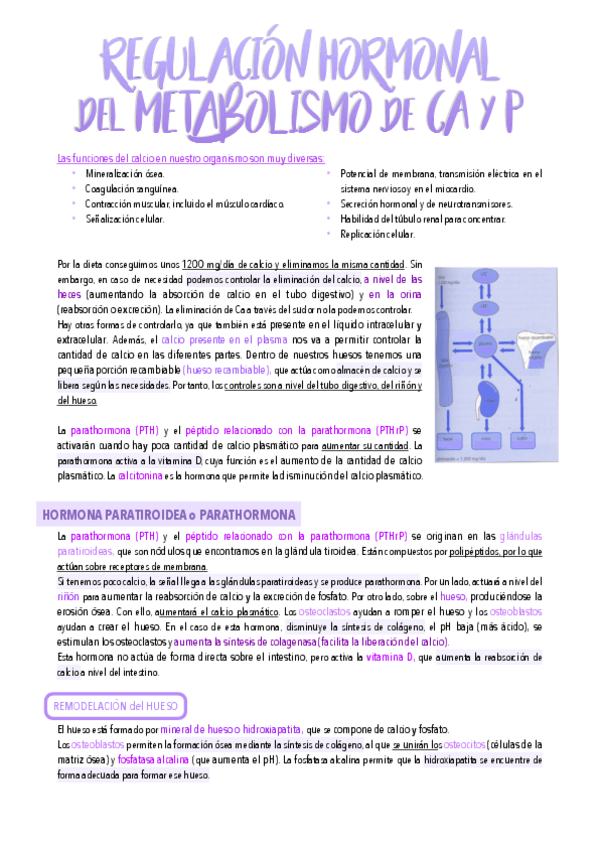 Miniatura del documento 36.-Regulacion-hormonal-del-metabolismo-del-caalcio-y-del-fosfato.pdf