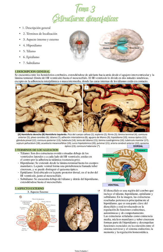 Miniatura del documento Tema-6.pdf