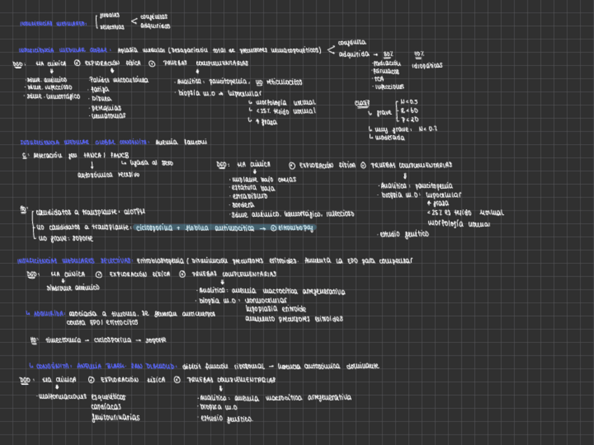 Miniatura del documento INSUFICIENCIAS-MEDULARES.pdf