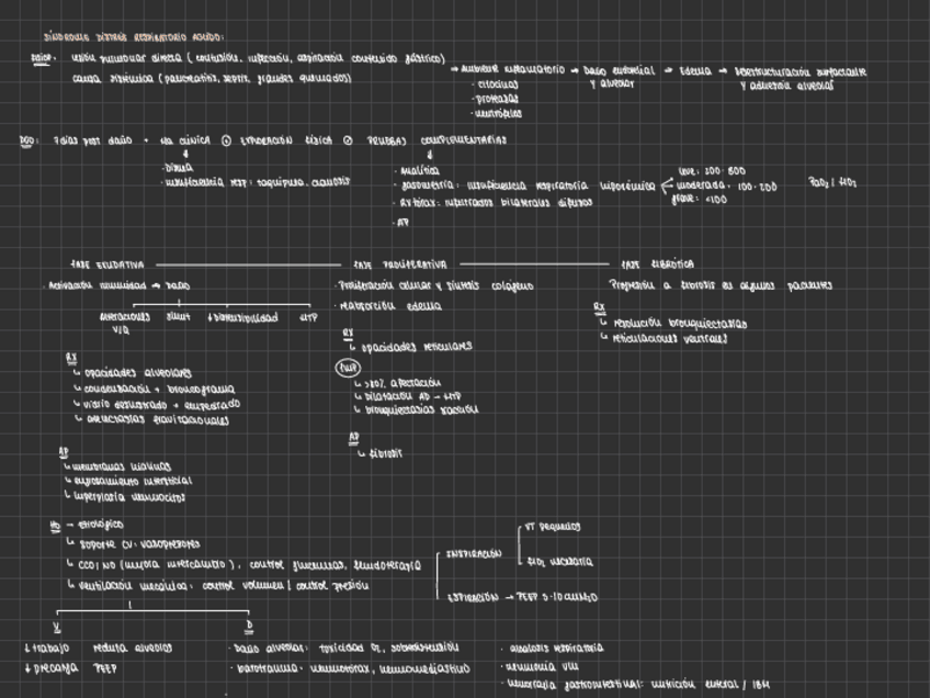 Miniatura del documento SINDROME-DISTRES-RESPIRATORIO-AGUDO.pdf