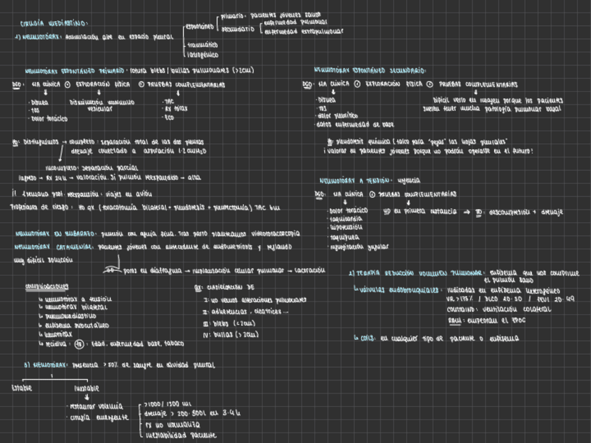 Miniatura del documento CIRUGIA-DEL-MEDIASTINO.pdf