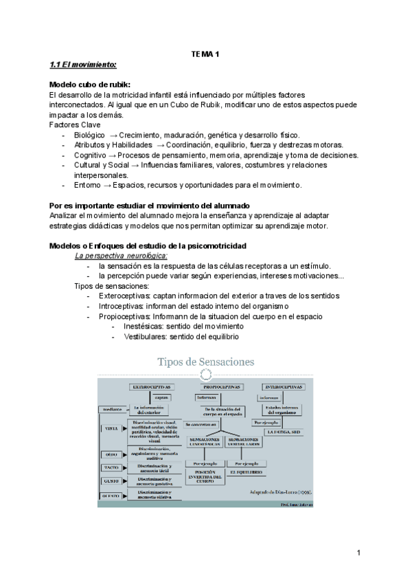 Miniatura del documento Todos-losApuntes-Habilidades-Perceptivomotrices-y-basicas.pdf