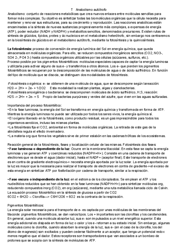 Miniatura del documento Anabolismo.pdf