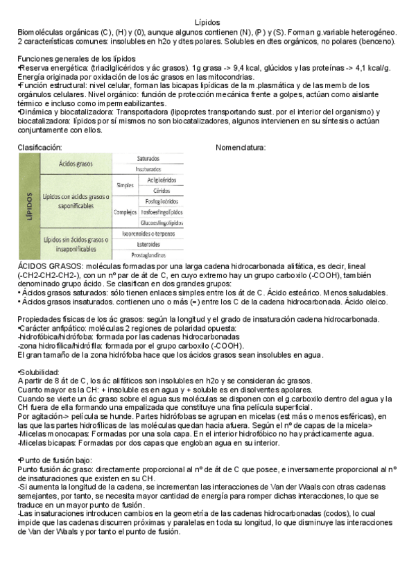 Miniatura del documento Lipidos.pdf