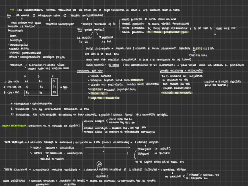 Miniatura del documento VIH.pdf