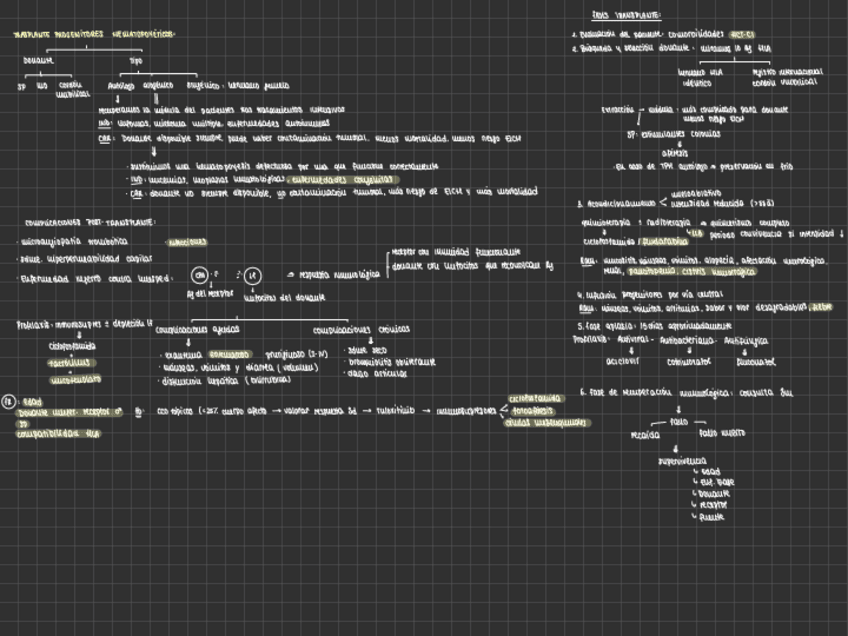 Miniatura del documento TRASPLANTE-HEMATOPOYETICO.pdf
