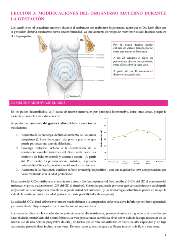 Miniatura del documento tema-cambios-organismo-materno-1-parcial-gine.pdf