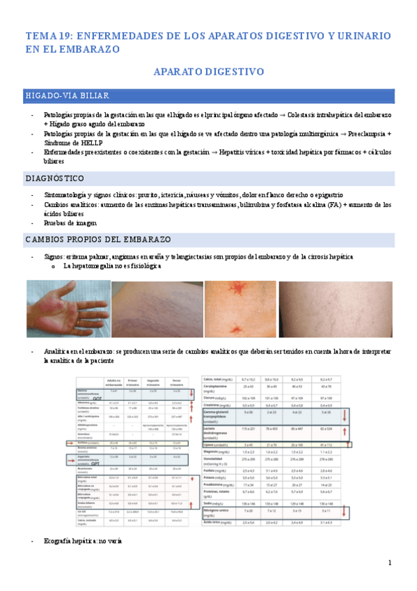 Miniatura del documento tema-digestivo-y-urinario-1-parcial-gine.pdf