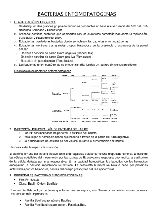 Miniatura del documento BACTERIAS-ENTOMOPATOGENAS.pdf
