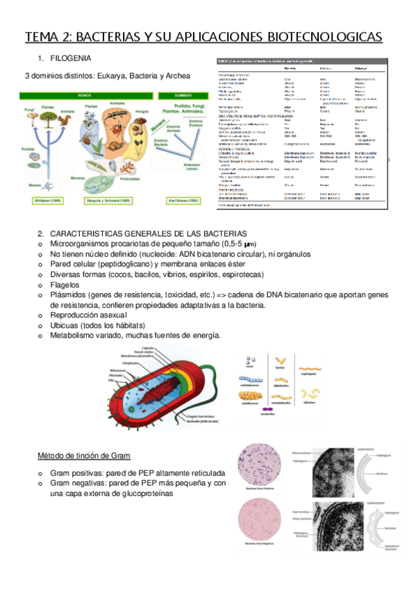 Miniatura del documento TEMA-2-BACTERIAS.pdf