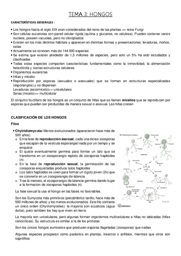 Miniatura del documento TEMA-3-HONGOS.pdf