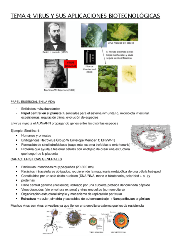 Miniatura del documento TEMA-4-VIRUS-PARTE-I.pdf
