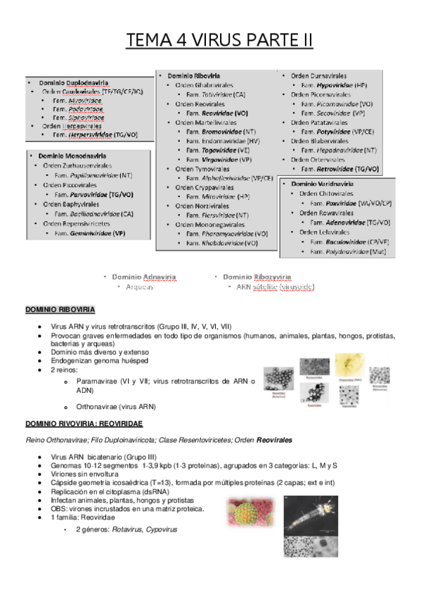 Miniatura del documento TEMA-4-VIRUS-PARTE-II.pdf