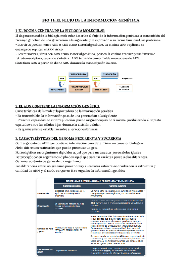 Miniatura del documento El-flujo-de-la-informacion-genetica.pdf