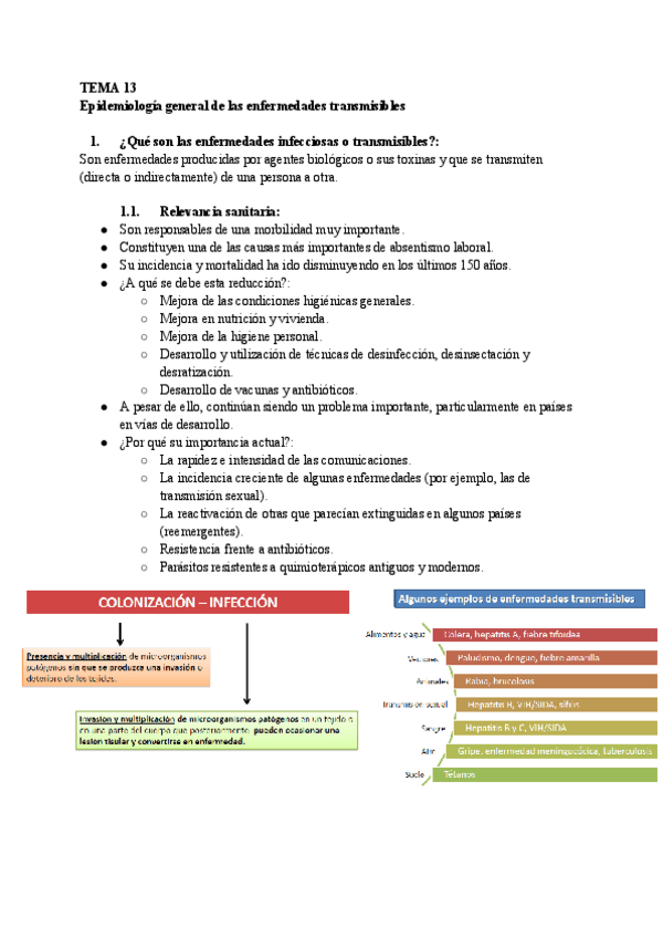 Miniatura del documento TEMA-13-Salud-Publica.pdf