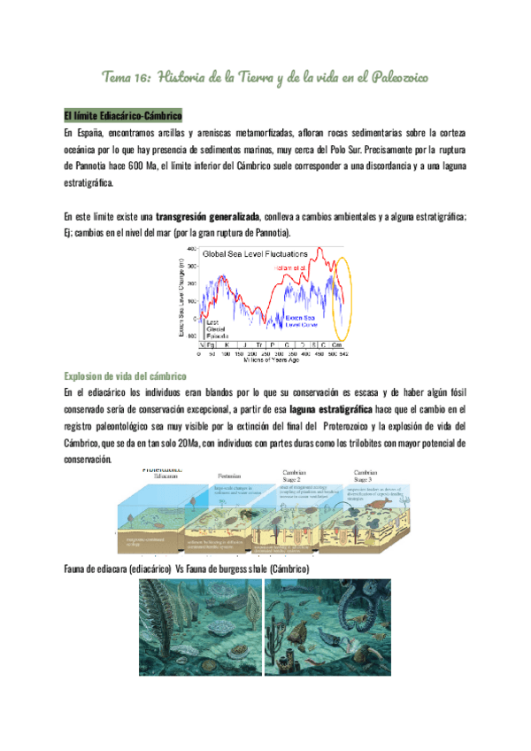 Miniatura del documento Tema-16-Historia-de-la-Tierra-y-de-la-vida-en-el-Paleozoico.pdf