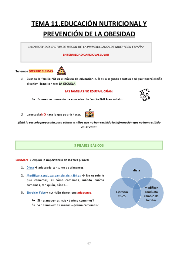 Miniatura del documento TEMA-11.-SALUD-ESCOLAR.pdf