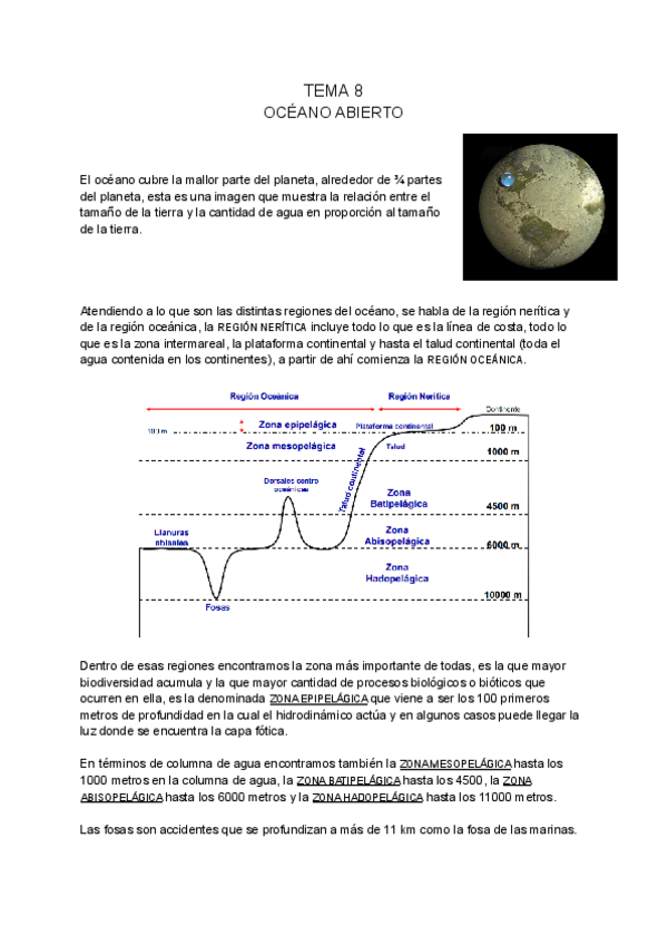 Miniatura del documento OCEANOGRAFIA-BIOLOLGICA-tema-8.pdf