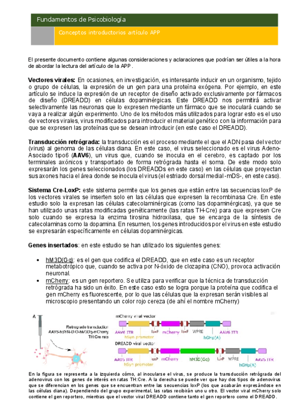Miniatura del documento Conceptos-previos-APP-Analisis-de-un-articulo-cientifico.pdf