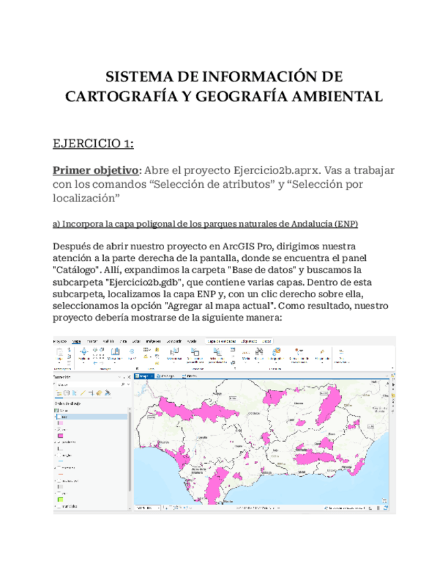 Miniatura del documento Protocolo-1-y-2.docx.pdf