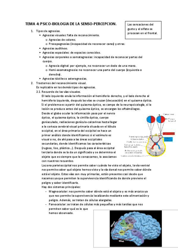Miniatura del documento TEMA-4-bases-psicobiologicas-de-la-conducta.pdf