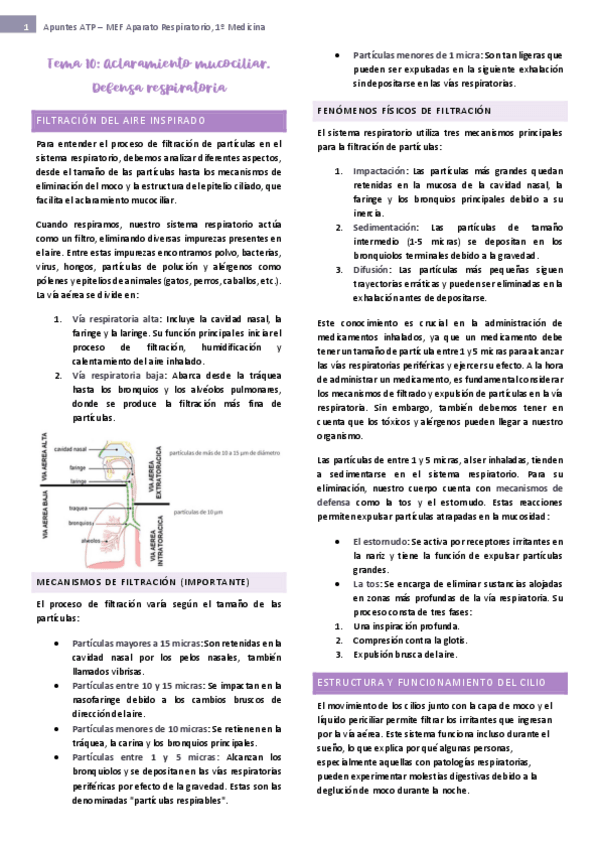 Miniatura del documento tema-10-ap-respiratorio.pdf