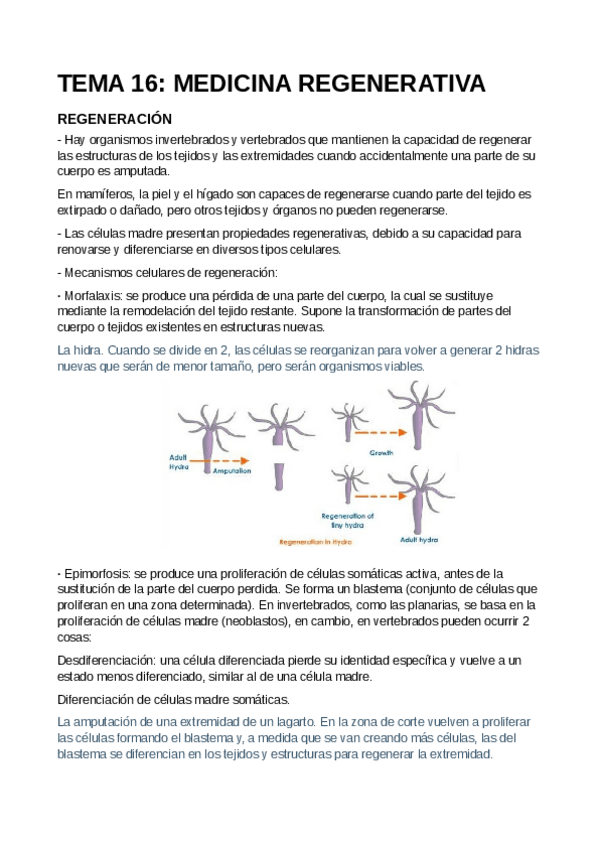 Miniatura del documento T16-Medicina-Regenerativa.pdf