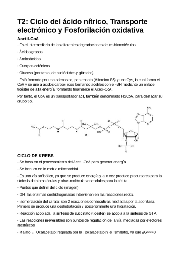 Miniatura del documento T2-Ciclo-del-acido-nitrico-Transporte-electronico-y-Fosforilacion-oxidativa.pdf