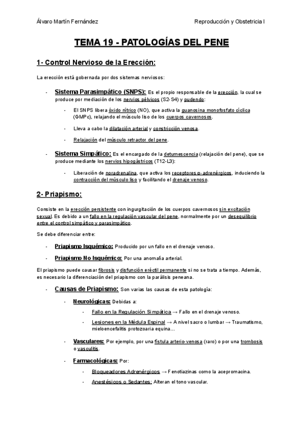 Miniatura del documento TEMA-19-PATOLOGIAS-DEL-PENE.pdf