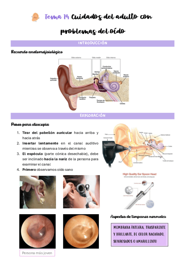 Miniatura del documento Tema-14-Cuidados-del-adulto-con-problemas-del-oido.pdf