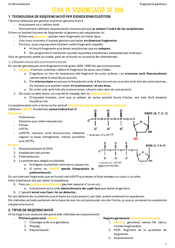 Miniatura del documento T11-Sequenciacio-de-DNA.pdf