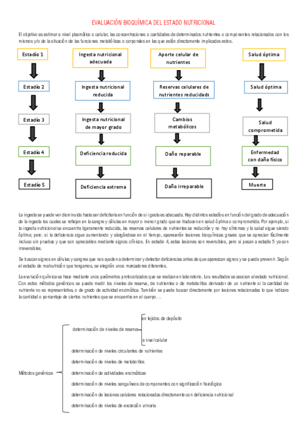 Miniatura del documento TEMA 14.pdf