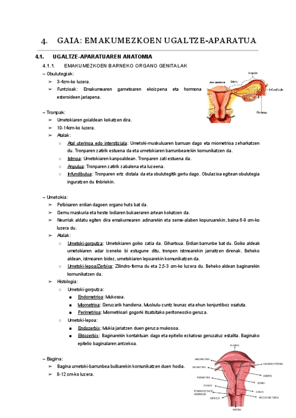 Miniatura del documento 04.-gaia.pdf