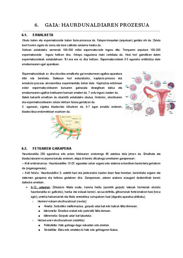 Miniatura del documento 06.-gaia.pdf