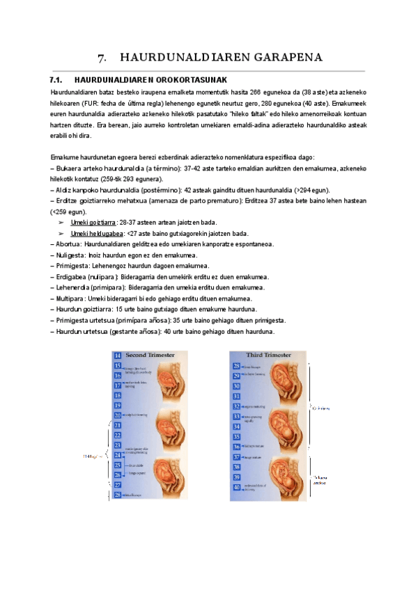Miniatura del documento 07.-gaia.pdf