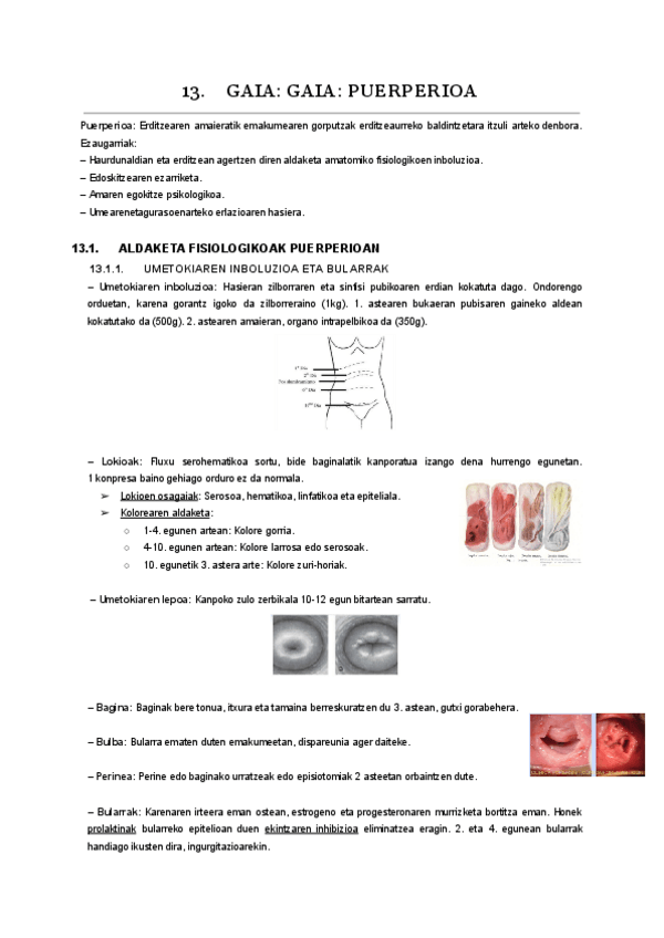 Miniatura del documento 13.-gaia.pdf