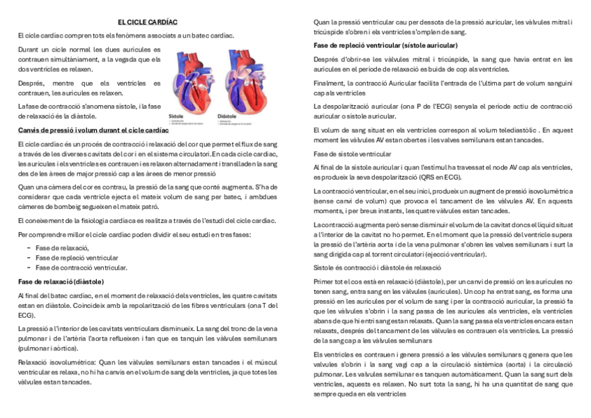 Miniatura del documento EL-CICLE-CARDIAC.pdf