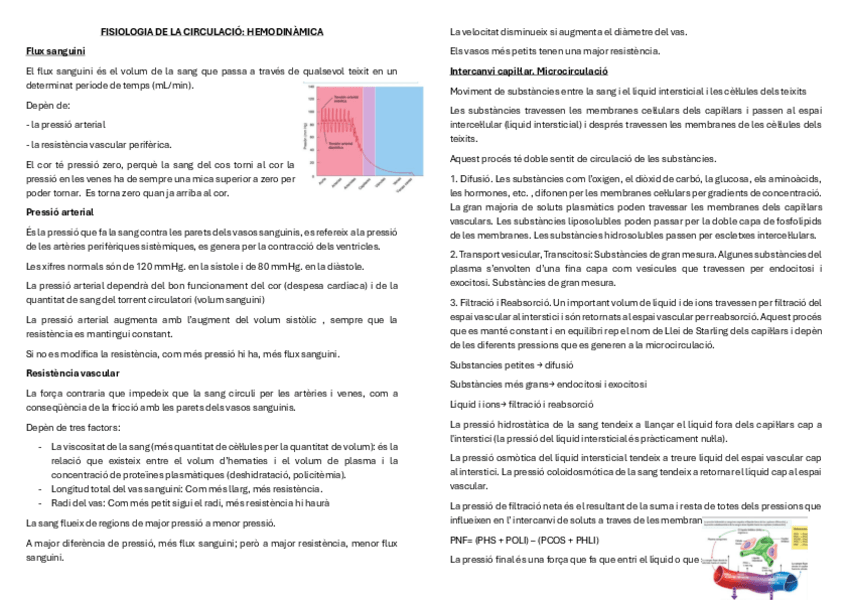 Miniatura del documento FISIOLOGIA-DE-LA-CIRCULACIO.pdf