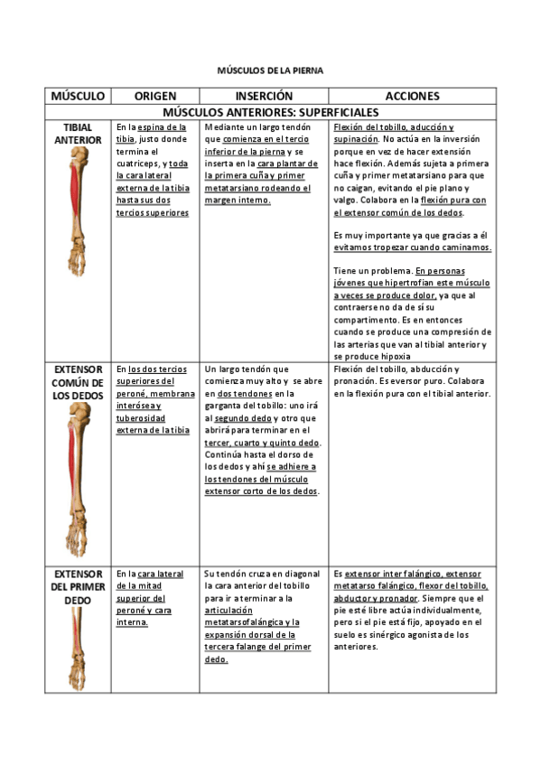 Miniatura del documento MÚSCULOS TOBILLO Y PIE.pdf