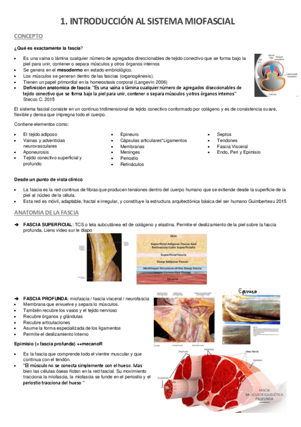 Miniatura del documento 1.-intro-sist-miofascial.pdf