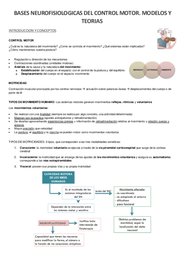 Miniatura del documento 3.-bases-neurofisiologicas-del-control-motor.pdf