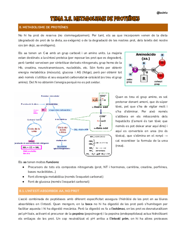 Miniatura del documento Tema-2.6-Nutri.pdf